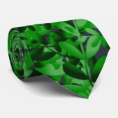 Stropdas van de groene Mannen Fern (Opgerold)