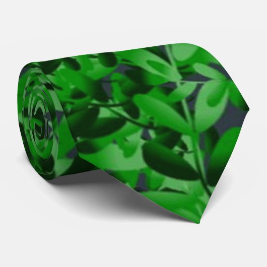 Stropdas van de groene Mannen Fern (Opgerold)