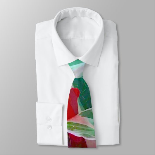 Stropdas van de Italiaanse kleuren Fun (Gebonden)