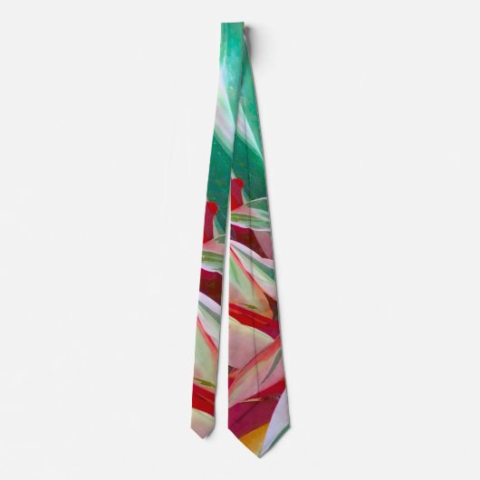 Stropdas van de Italiaanse kleuren Fun (Achterkant)