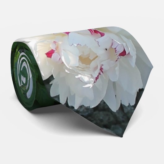 Stropdas van de kostbare pony (Opgerold)