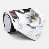 Stropdas van de Mannen van Royal Frenchel (Opgerold)