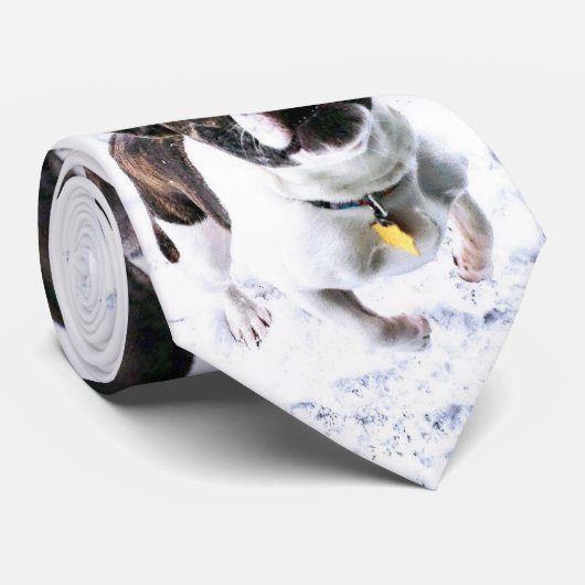 Stropdas van de Mannen van Royal Frenchel (Opgerold)