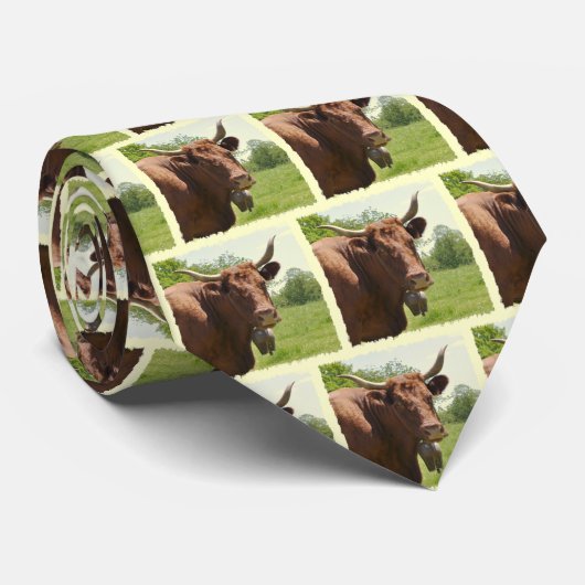 Stropdas van de Salingkoe (Opgerold)