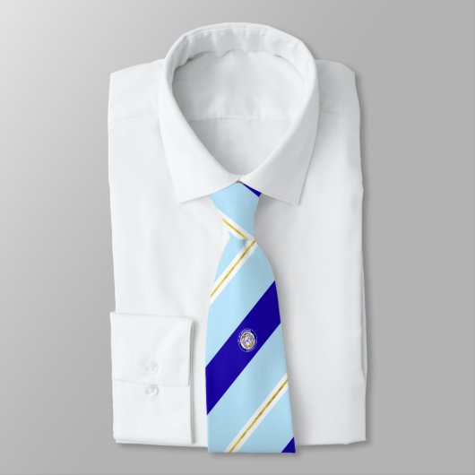 Stropdas van de stadsvlag Hartford (Connecticut) (Gebonden)