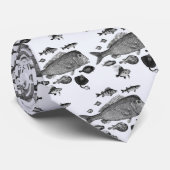 Stropdas van de vissers (Opgerold)