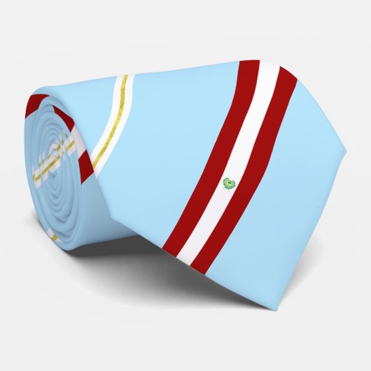 Stropdas van de vlagzegel van Raleigh (North Carol (Opgerold)