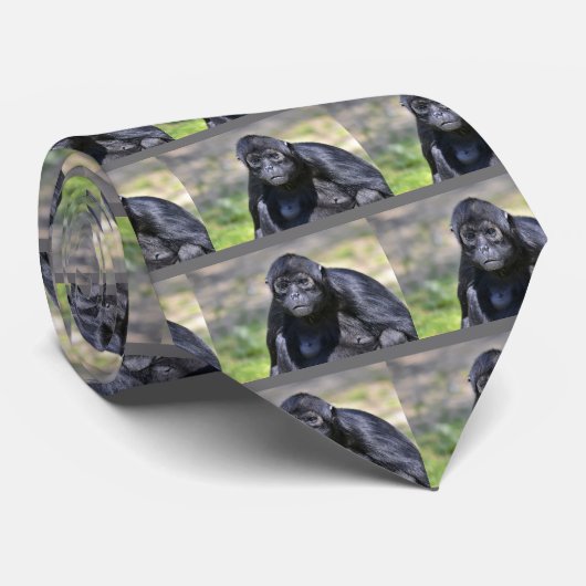 Stropdas van de zwarte spinaap (Opgerold)