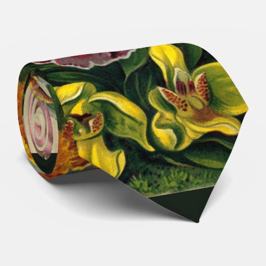 Stropdas van Ernst Haeckel Orchidaceae (Opgerold)