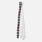 Stropdas van het schildpad (Achterkant)