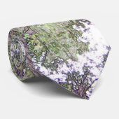 Stropdas van kustmammoetbomen (Opgerold)