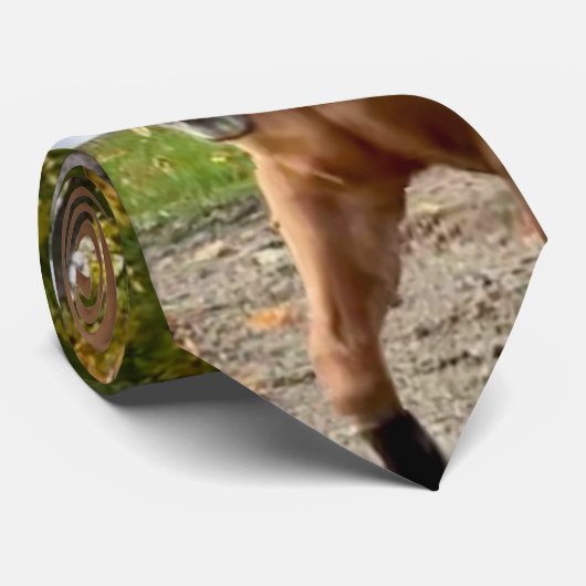 Stropdas van Mannen met kwart paard (Opgerold)