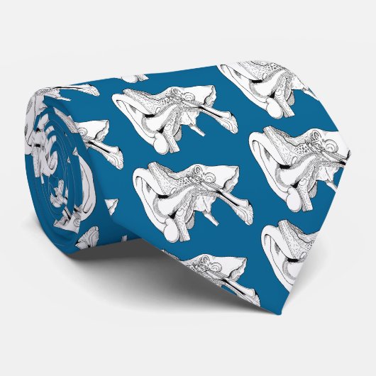 STROPDAS VAN OORANATOMIE (Opgerold)