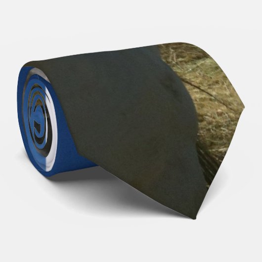 Stropdas van paarden (Opgerold)