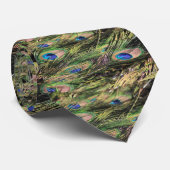 Stropdas van pauwenveren (Opgerold)