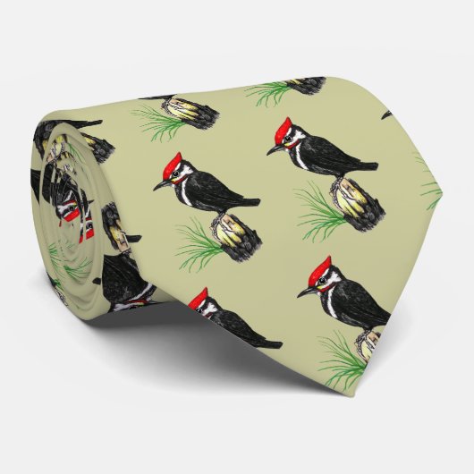 Stropdas van pileated Woodpecker (Opgerold)