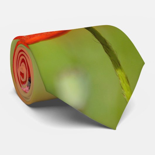 Stropdas van rode papaver (Opgerold)