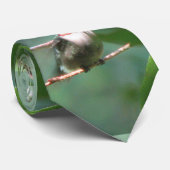 Stropdas van rondvliegende Hummingbird (Opgerold)