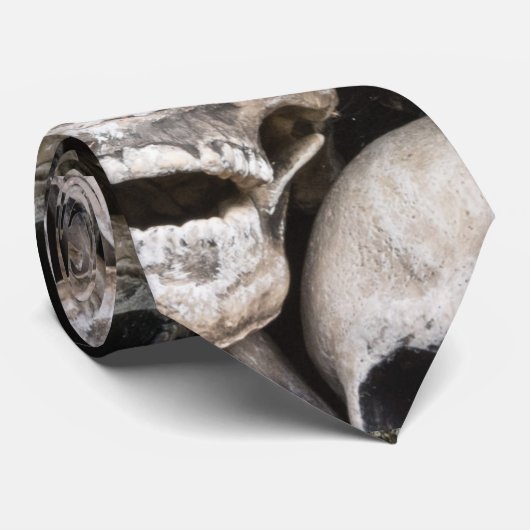 Stropdas van schedelspieren (Opgerold)