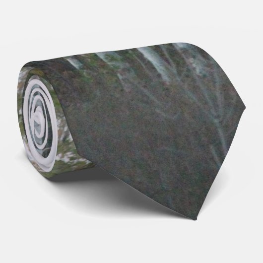 stropdas van witte berk (Opgerold)