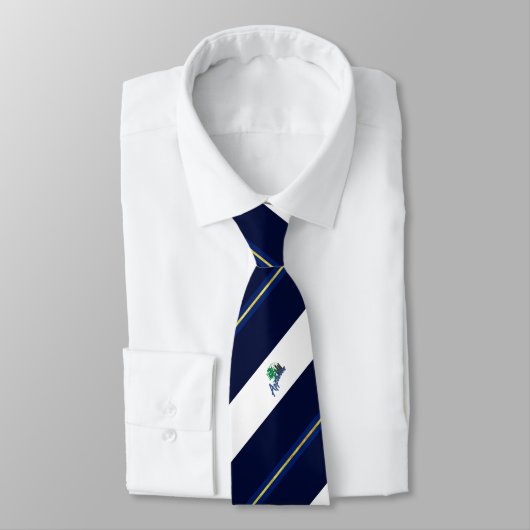 Stropdas vlag Appleton (Wisconsin) (Gebonden)