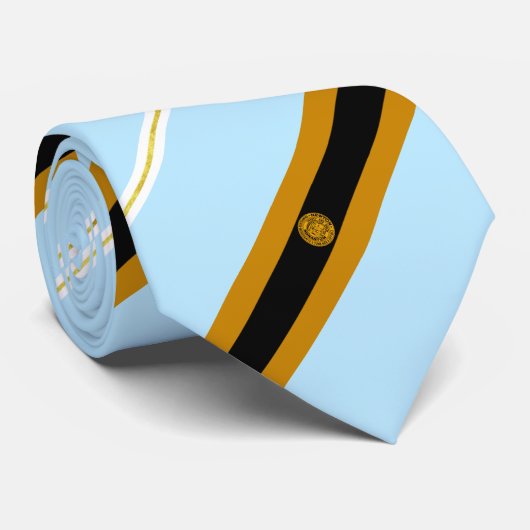 Stropdas vlag van Newton (Massachusetts) (Opgerold)