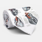 Stropdas voor medische cardiologie (Opgerold)