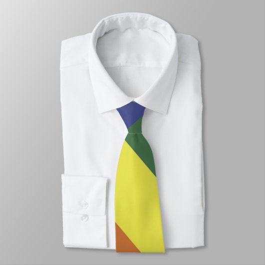 Stropdas voor regenbooggelijkheid Pride kleurenstr (Gebonden)