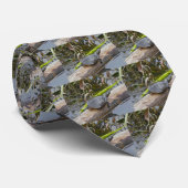 Stropdas voor schildpad (Opgerold)