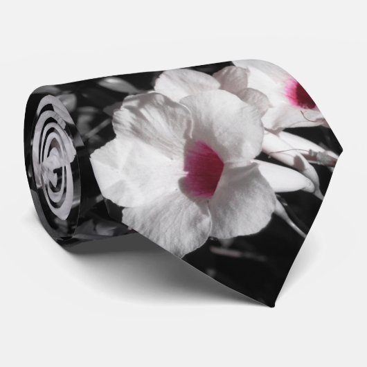 Stropdas voor schoonheidszalen (Opgerold)