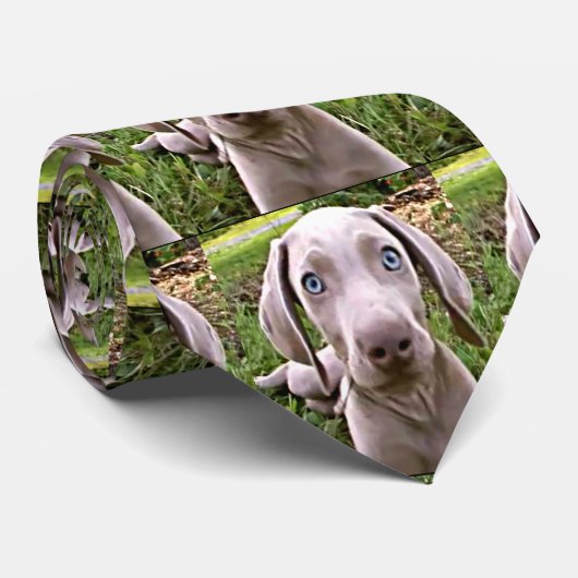 stropdas "WEIMARANER" VAN ALLE STROPDASSEN (Opgerold)