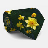 Stropdas zonlicht (Opgerold)