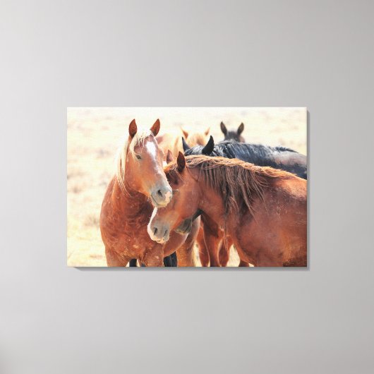 Stropdassen van de familie wilde paarden canvas afdruk (Voorkant)