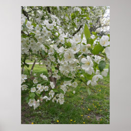 Stropjes bloesems poster