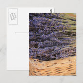Stropjes Lavendel Briefkaart (Voorkant / Achterkant)