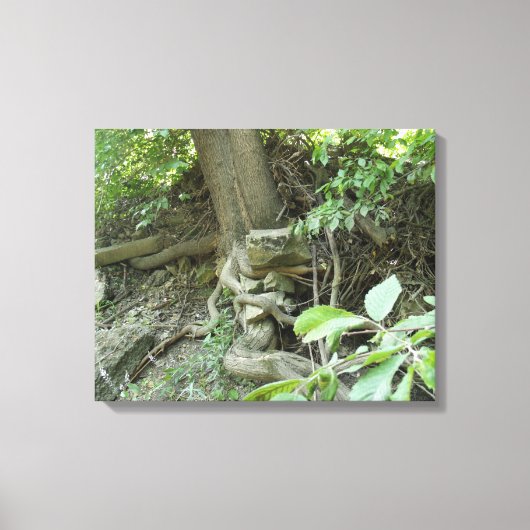 Strots in rust canvas afdruk (Voorkant)