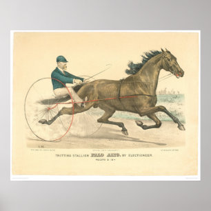 Strotting stallion Palo Alto door de kiezer (1791A Poster