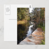 Strowater in Florida Briefkaart (Voorkant / Achterkant)