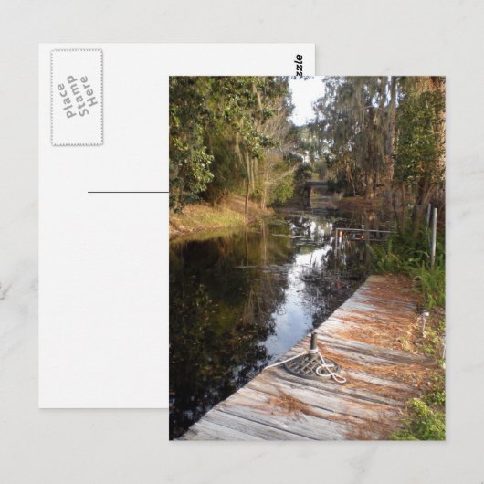 Strowater in Florida Briefkaart (Voorkant / Achterkant)