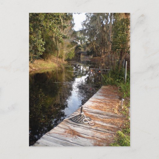 Strowater in Florida Briefkaart (Voorkant)