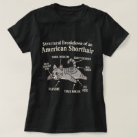 Structureel Diagram van de Amerikaanse Korthaar