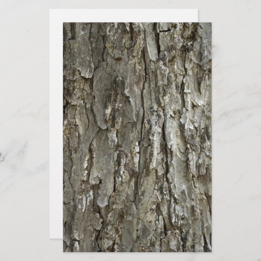 Structuur boomschors briefpapier (Voorkant / Achterkant)
