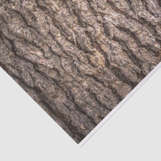 Structuur boomschors tissuepapier (Detail)