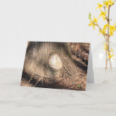 Structuur met boomschors Grote Knothole foto Kaart (Gele Bloem)