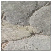 Structuur van boomschors stof (Close Up)
