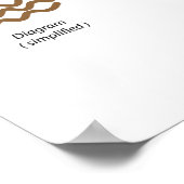 Structuur van cholesterol en triglyceriden Poster (Hoek)