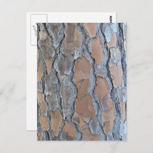 Structuur van de boomschors briefkaart (Voorkant / Achterkant)