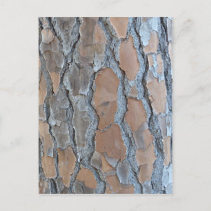 Structuur van de boomschors briefkaart