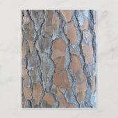 Structuur van de boomschors briefkaart (Voorkant)