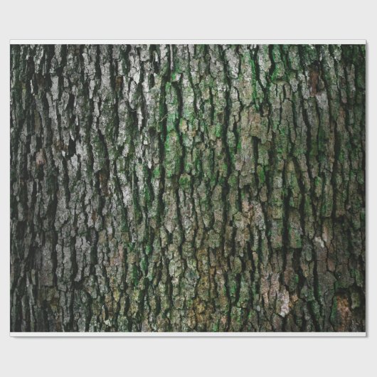 Structuur van de boomschors cadeaupapier (Vlak)